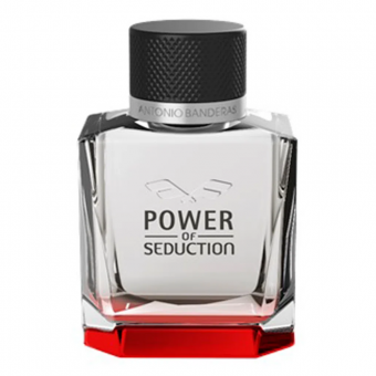 A.B. POWER OF SEDUCTION MASC EDT 100 ML - Código 13079-1