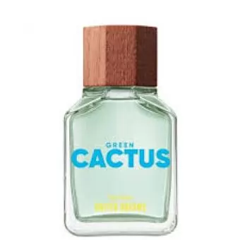 TESTER MASCULINO UNIT BNT GREEN CACTUS FOR HIM EDT 100 ML - Código 16081-1
